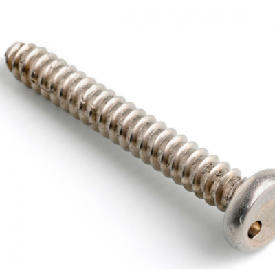 2HOLE PAN SELF TAPPING SECURITY SCREWS