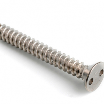 2HOLE COUNTERSUNK SELF TAPPING SECURITY SCREWS