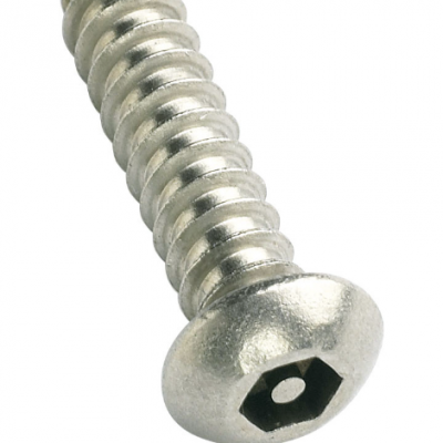 HEX SOCKET + PIN BUTTON SELF TAPPING SECURITY SCREWS