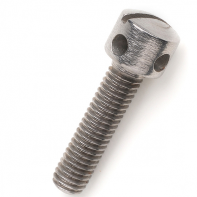 SLOTTED CAPSTAN SCREWS DIN 404